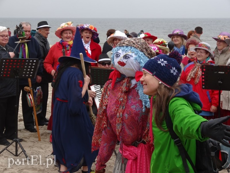 Elbląskie morsy w Stegnie zdjęcie nr 84793