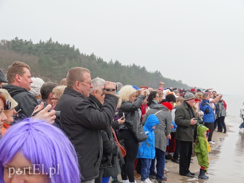 Elbląskie morsy w Stegnie zdjęcie nr 84809