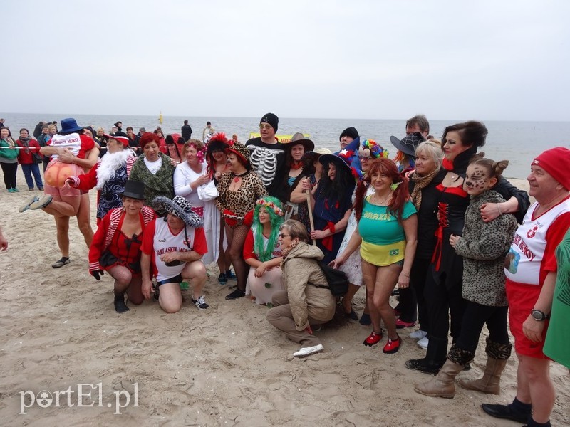 Elbląskie morsy w Stegnie zdjęcie nr 84794