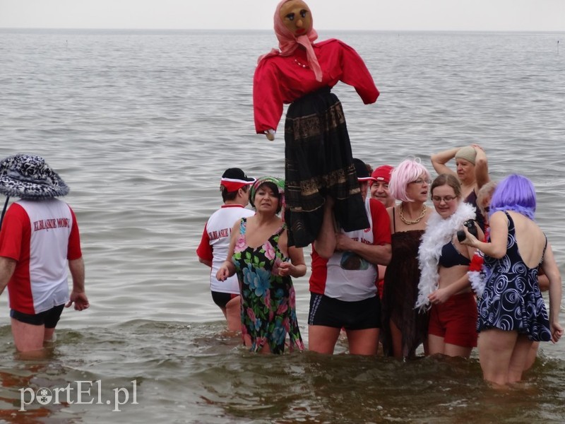 Elbląskie morsy w Stegnie zdjęcie nr 84811