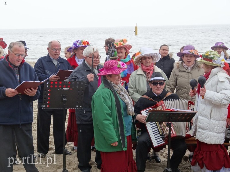 Elbląskie morsy w Stegnie zdjęcie nr 84818