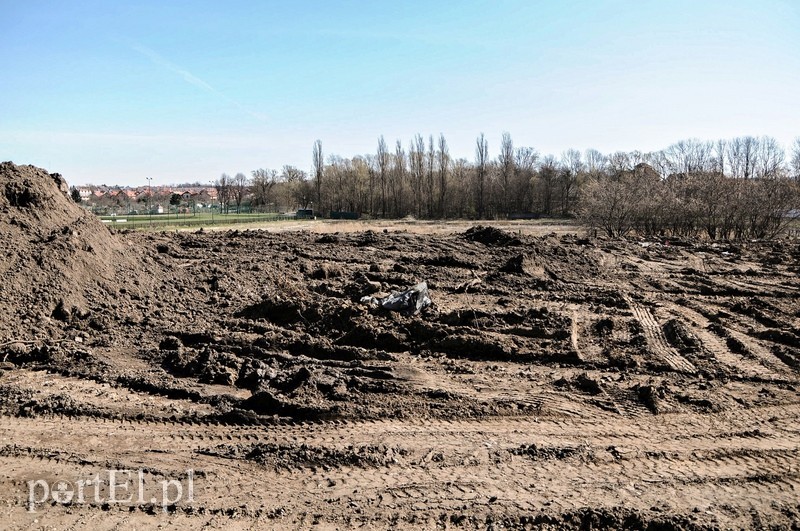 Równają teren pod budowę basenu zdjęcie nr 85157