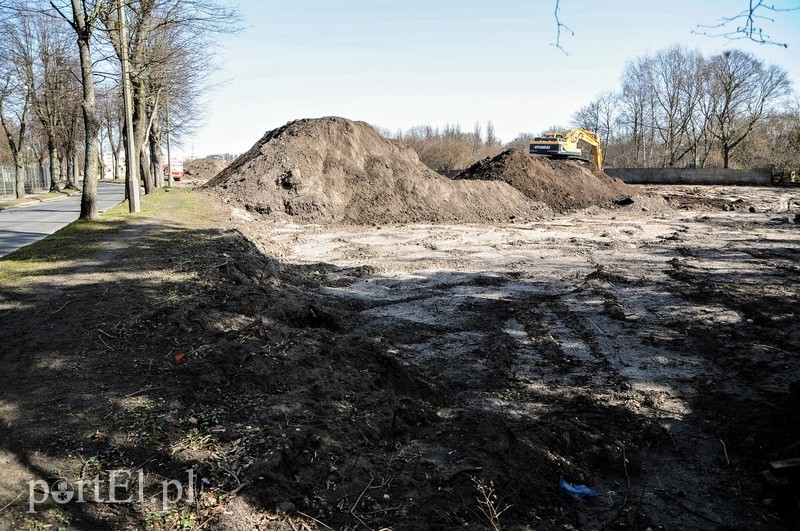 Równają teren pod budowę basenu zdjęcie nr 85164