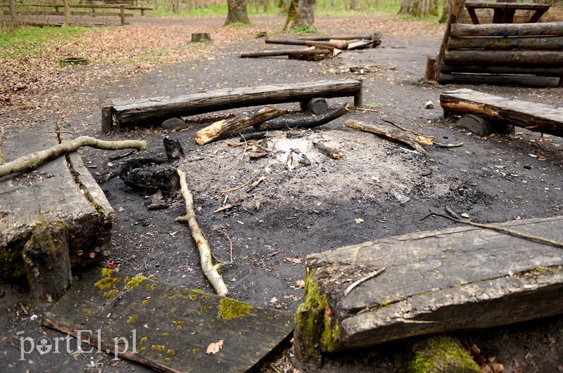 Dokończyli dzieło zniszczenia zdjęcie nr 85442