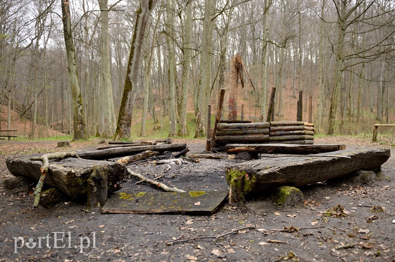 Dokończyli dzieło zniszczenia zdjęcie nr 85441