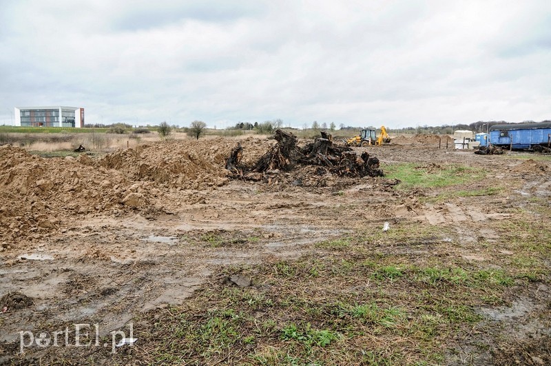 Budowa nowych hal na Modrzewinie zdjęcie nr 85819