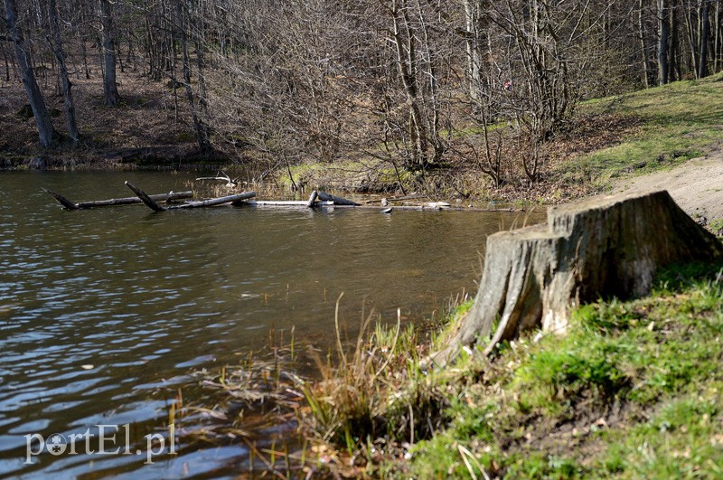 „Smoki” przygotowane na nadchodzący sezon turystyczny zdjęcie nr 85826