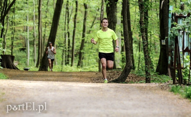 Siedem biegów na 777-lecie zdjęcie nr 86594