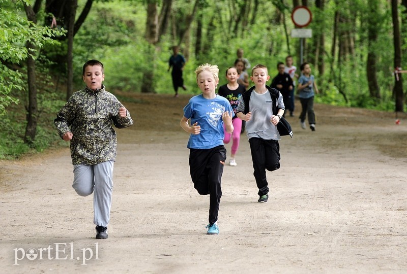 Siedem biegów na 777-lecie zdjęcie nr 86582