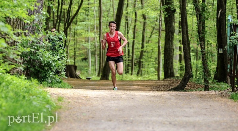 Siedem biegów na 777-lecie zdjęcie nr 86592