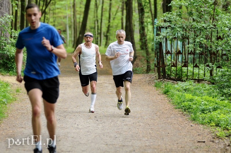 Siedem biegów na 777-lecie zdjęcie nr 86599