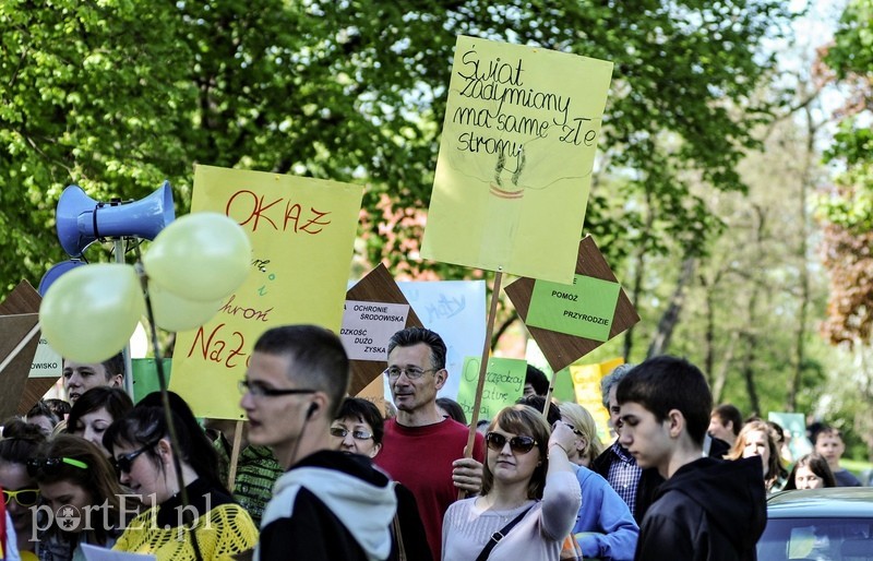 Z ekologią za pan brat zdjęcie nr 86681