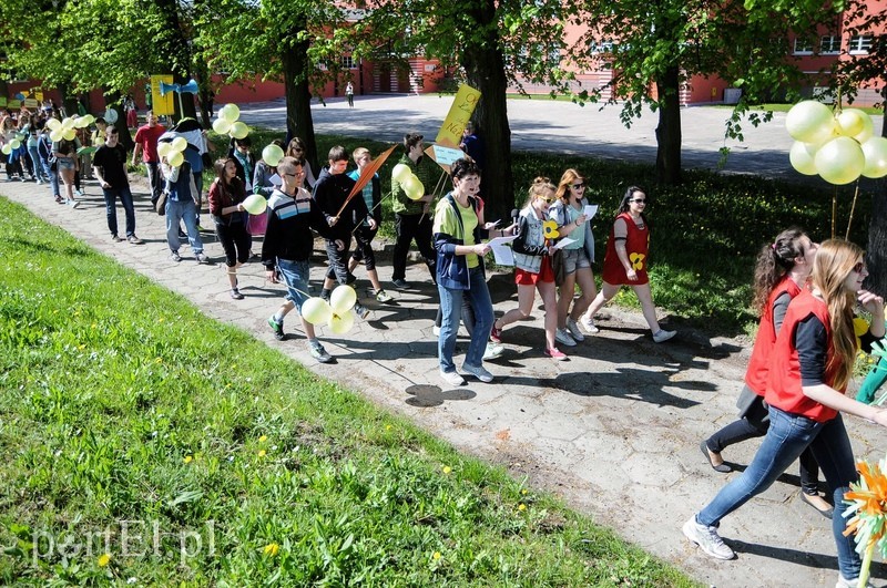 Elbląg Z ekologią za pan brat