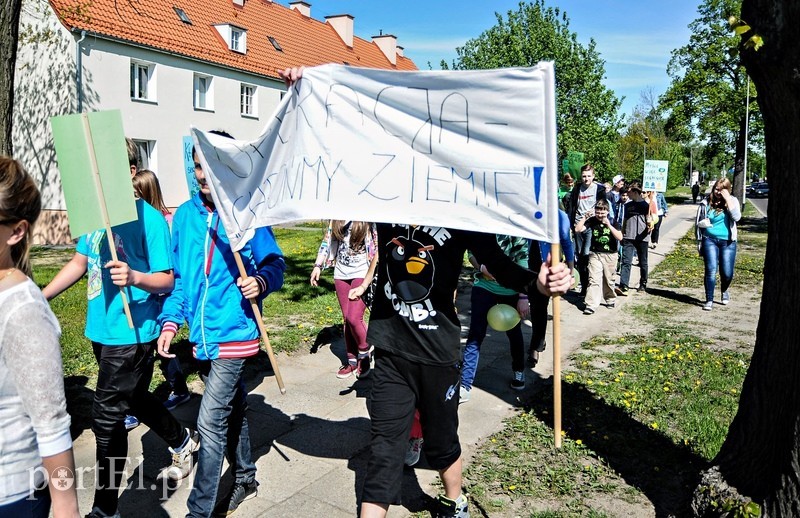 Z ekologią za pan brat zdjęcie nr 86688