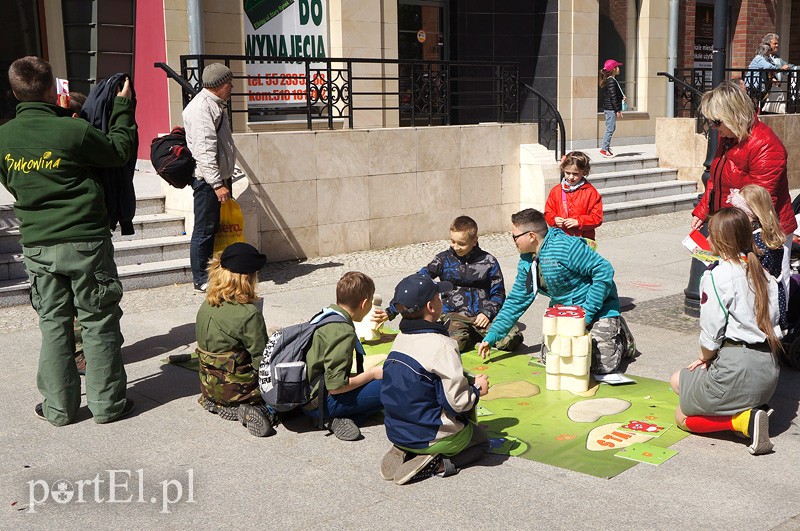 Święto Flagi zdjęcie nr 86927