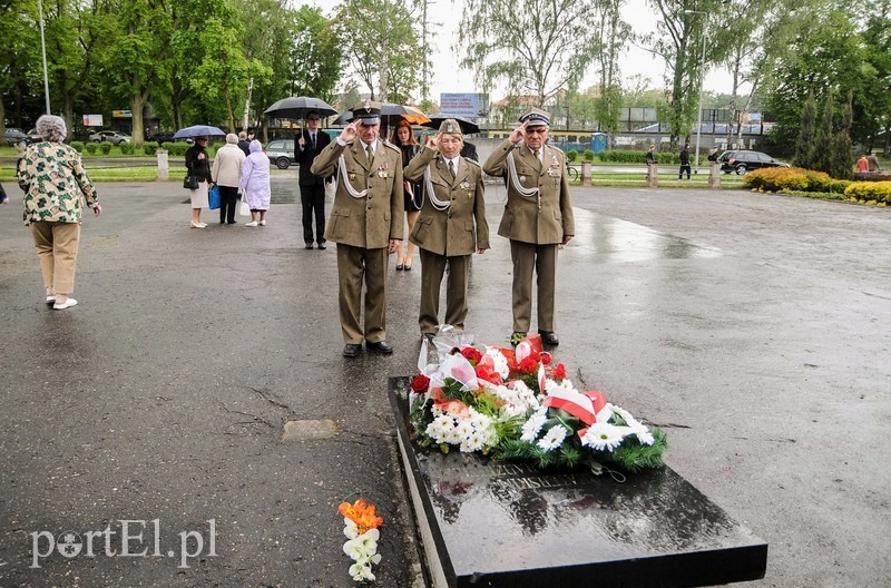 Dzień Zwycięstwa, maj zielony... zdjęcie nr 87170