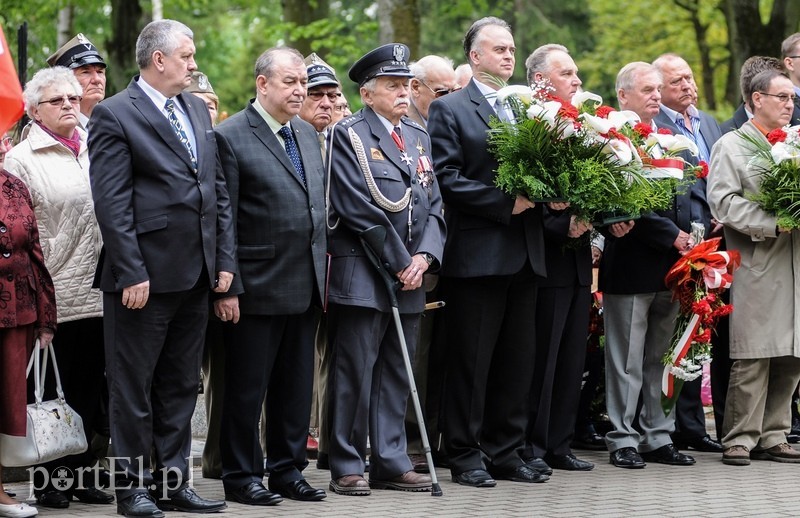 Dzień Zwycięstwa, maj zielony... zdjęcie nr 87160