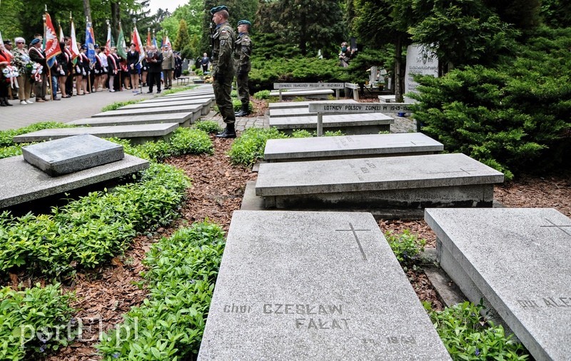 Dzień Zwycięstwa, maj zielony... zdjęcie nr 87157