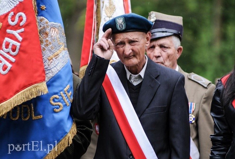 Dzień Zwycięstwa, maj zielony... zdjęcie nr 87163