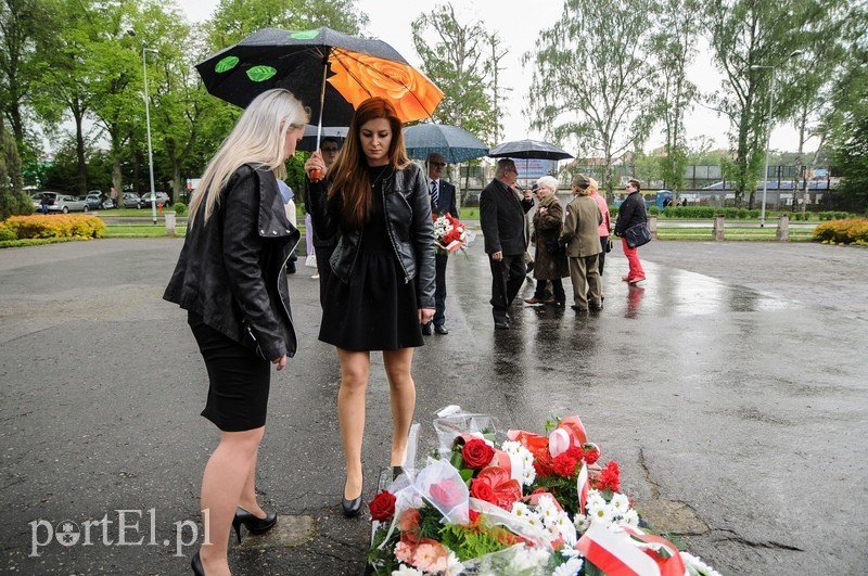 Dzień Zwycięstwa, maj zielony... zdjęcie nr 87171