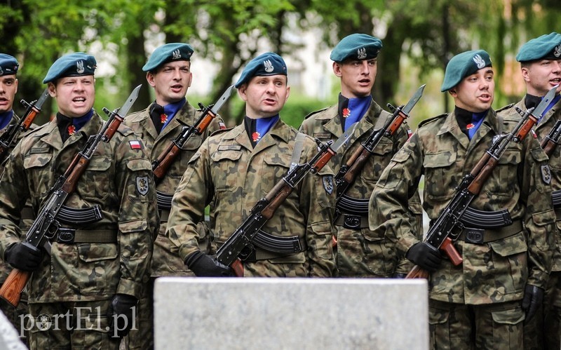 Dzień Zwycięstwa, maj zielony... zdjęcie nr 87162