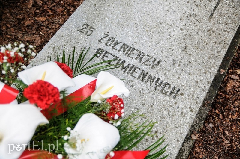 Dzień Zwycięstwa, maj zielony... zdjęcie nr 87168