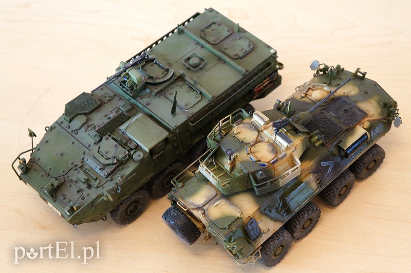 Pasja, która daje "zdrowego kopa" zdjęcie nr 87534