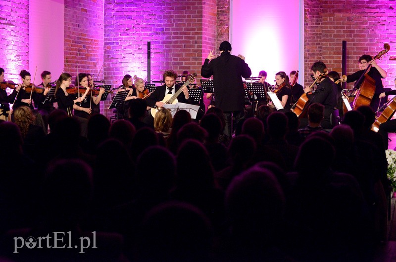 Elbląg o zmierzchu, czyli EOK i chłopak z gitarą zdjęcie nr 87565