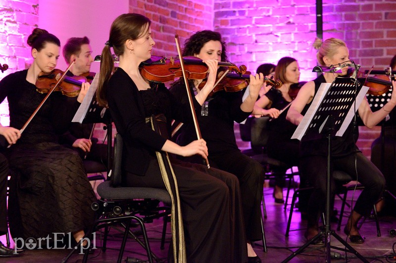 Elbląg o zmierzchu, czyli EOK i chłopak z gitarą zdjęcie nr 87555