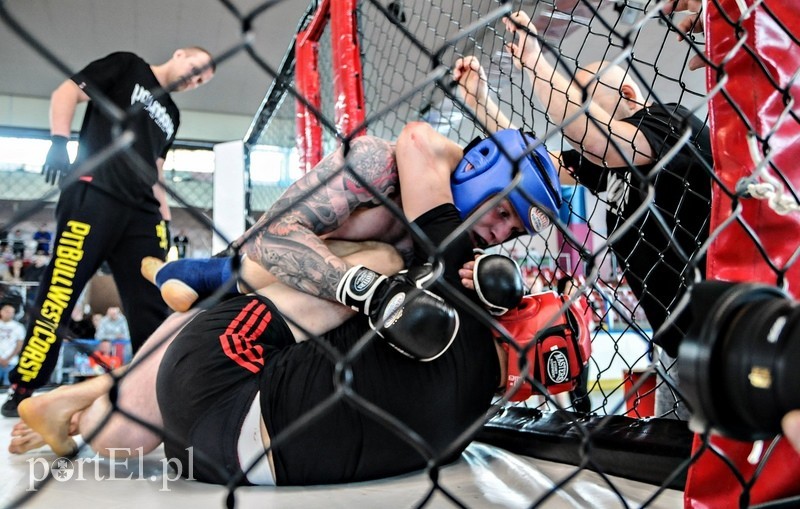 Tak się walczy zdjęcie nr 87799