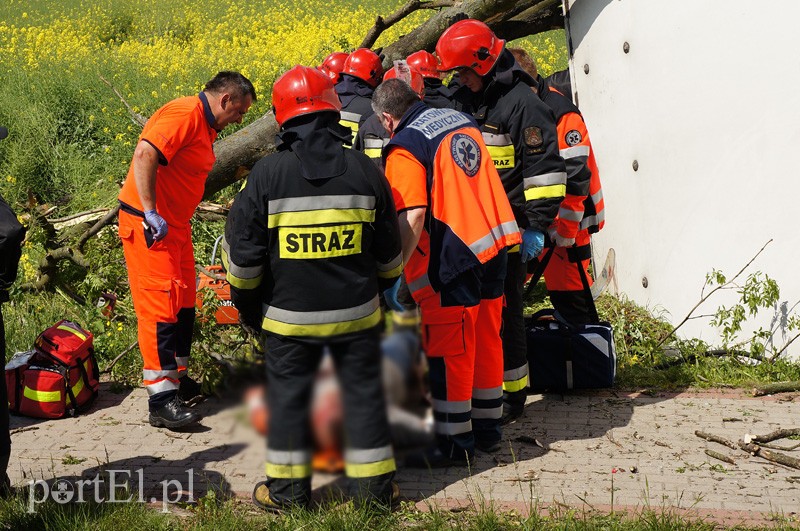 Kazimierzowo: ciężarówką w drzewo zdjęcie nr 87863