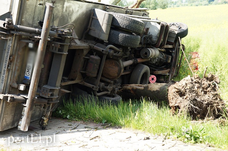 Kazimierzowo: ciężarówką w drzewo zdjęcie nr 87843