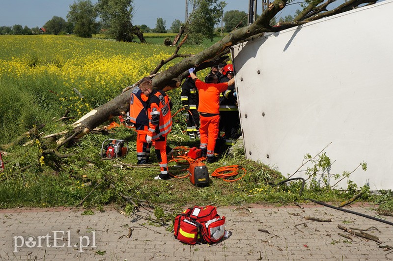 Kazimierzowo: ciężarówką w drzewo zdjęcie nr 87853