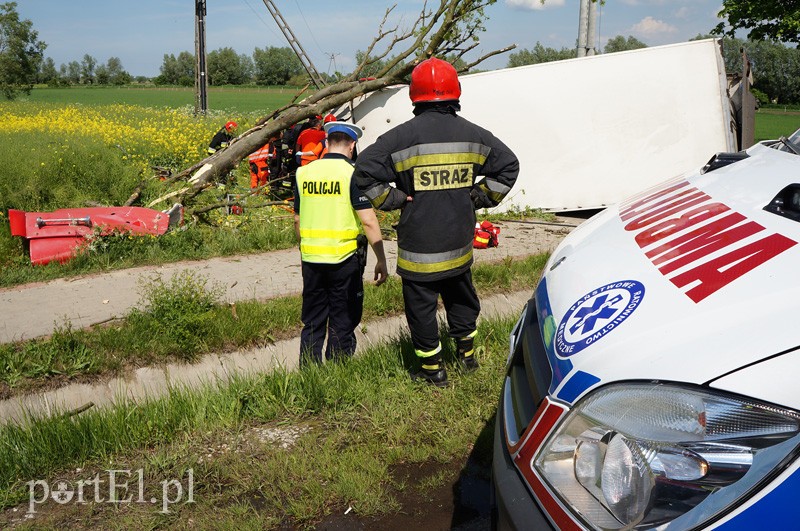 Kazimierzowo: ciężarówką w drzewo zdjęcie nr 87854