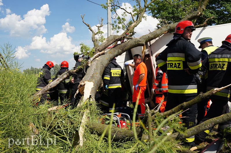 Kazimierzowo: ciężarówką w drzewo zdjęcie nr 87857