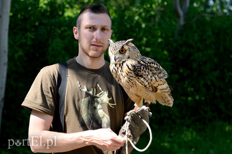Skrzydlaci ochroniarze wojskowego lotniska zdjęcie nr 88004