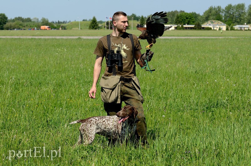 Skrzydlaci ochroniarze wojskowego lotniska zdjęcie nr 88003