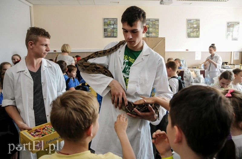 Nauka na wesoło zdjęcie nr 88048