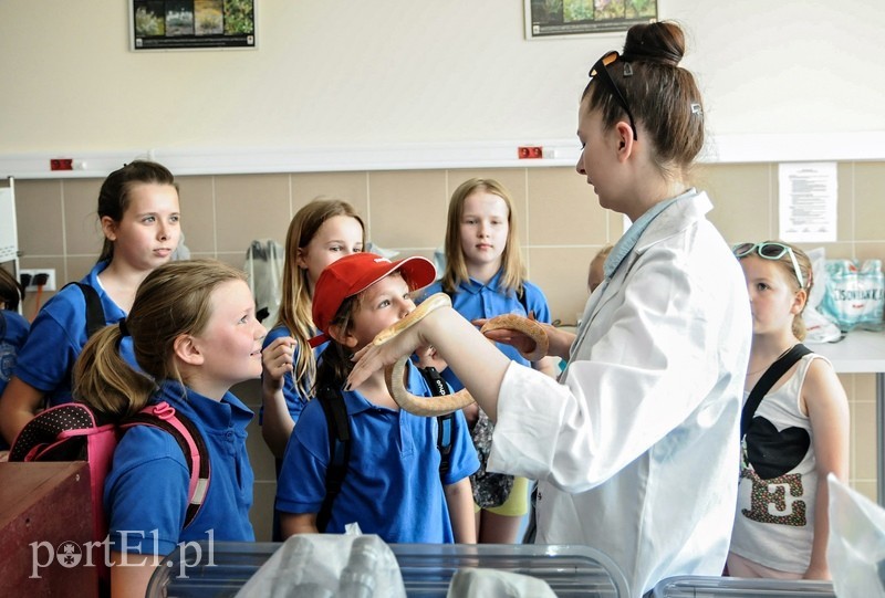 Nauka na wesoło zdjęcie nr 88049