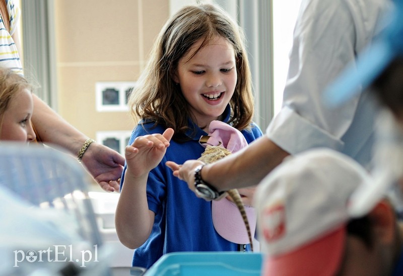 Nauka na wesoło zdjęcie nr 88051