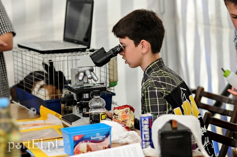 Nauka na wesoło zdjęcie nr 88044