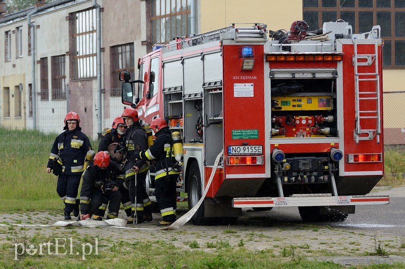 Elbląg ćwiczy. Na wszelki wypadek zdjęcie nr 88426