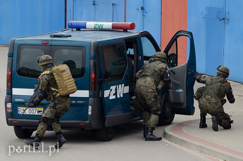 Elbląg ćwiczy. Na wszelki wypadek zdjęcie nr 88447