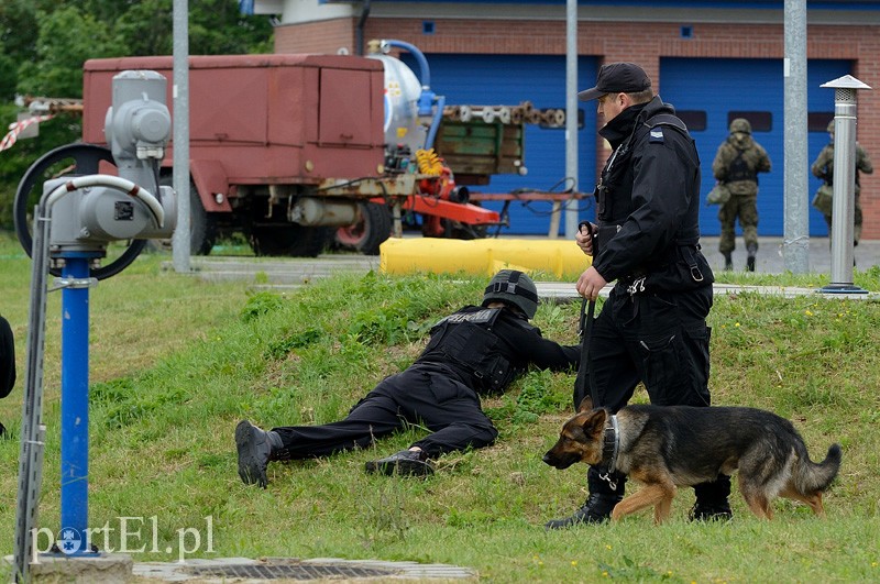 Elbląg ćwiczy. Na wszelki wypadek zdjęcie nr 88454