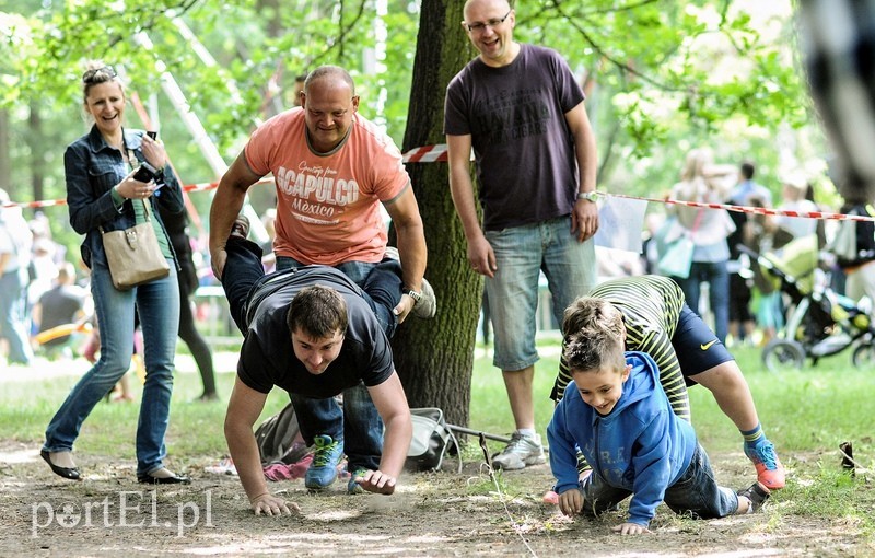 Dziś w Elblągu rządził król Piegus zdjęcie nr 88677