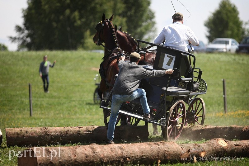 Piknik Zaprzęgowy w Piastowie zdjęcie nr 88720