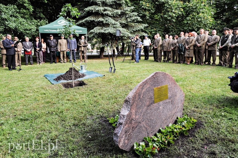 Niech ten dąb przypomina nam o drodze do wolności zdjęcie nr 88916