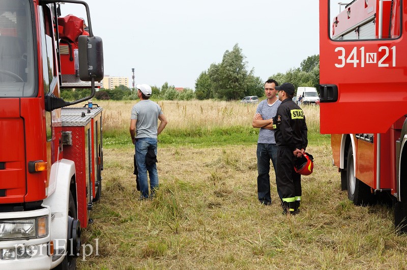 Festyn Rodzinny na lotnisku zdjęcie nr 90643