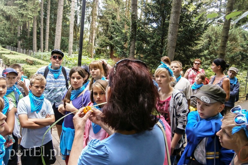 Dzięki Towarzystwu Przyjaciół Dzieci poznawali, badali i opisywali świat zdjęcie nr 90962