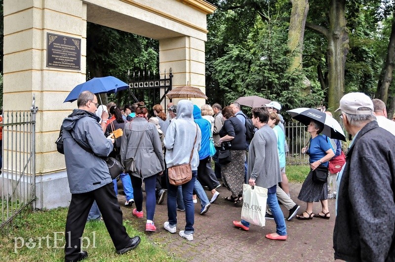 Napoleon, Angela Merkel i wąwóz Owczy, czyli Elbląg trochę mniej znany zdjęcie nr 90979